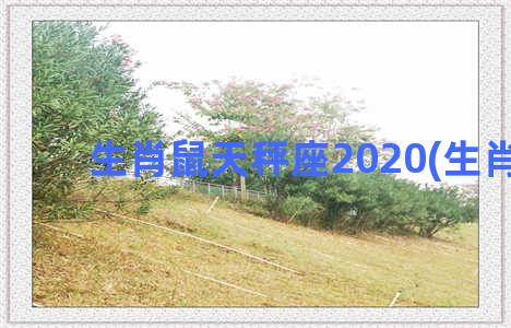 生肖鼠天秤座2020(生肖 鼠)